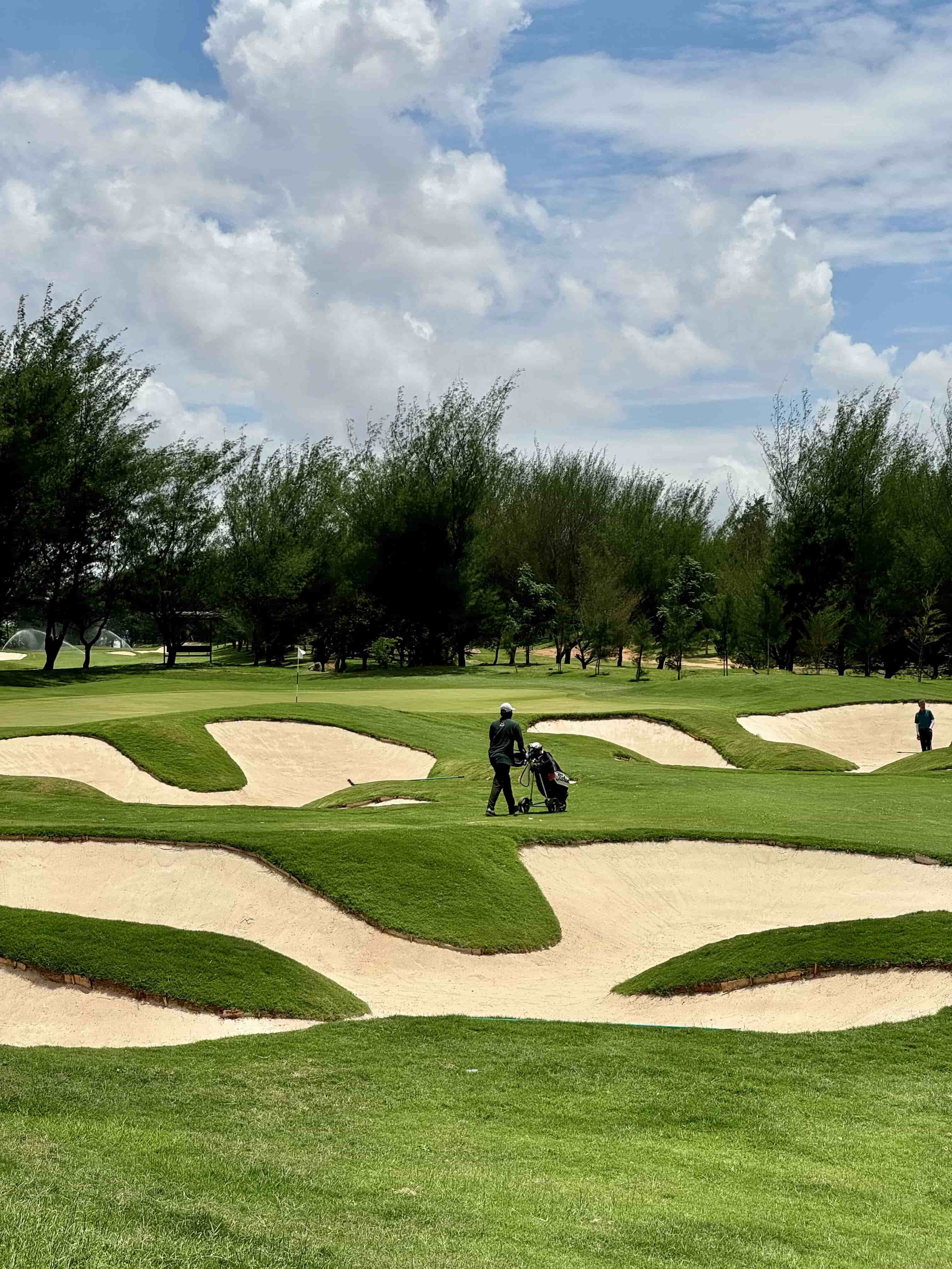 Clover Greens Championship Golf